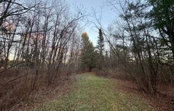 N488 LUKES HEIGHTS RD, Ogema, WI 54459