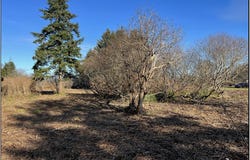 NW Birch AVE, Warrenton, OR 97146