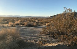 Dorth, 29 Palms, CA 92277