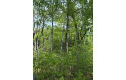 Range Line Rd, Kerrick, MN 55756