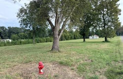 505 5th Street, Hazel, KY 42049