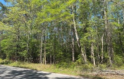 Hobby Coop Road, THAXTON, MS 38871
