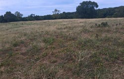 Washburn, MO 65772