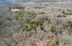 10139 State Highway Ff, Zanoni, MO 65784