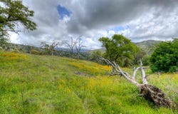 9 Pennyroyal, Prather, CA 93651