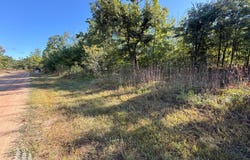 5954 Neumann Road, Lewiston, MI 49756