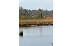 19 Batts Hill Road, New Bern, NC 28562