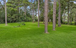 Gladney Street, Minden, LA 71055