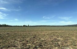 Nat. Develop 4466, Beatty, OR 97621