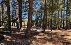 4501 Lakewood Drive, Willits, CA 95490
