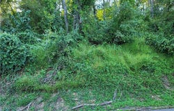 Grandview, Rayland, OH 43943