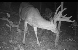 Stanley Creek, Oneida, TN 37841