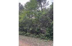 NHN Pinecroft Dr, Poplarville, MS 39470