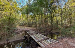 Hwy 14, Selma, AL 36701