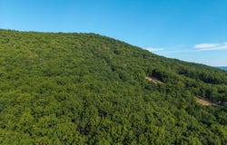 ROUNDHEAD MOUNTAIN RD, STANLEY, VA 22851