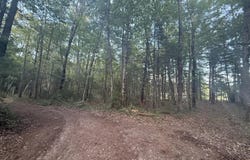 5860 Honeybear Avenue, Baldwin, MI 49304