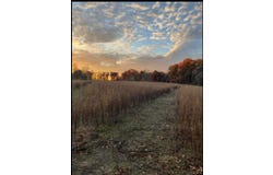 Springport Road, Springport, MI 49284