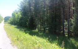 Stone Circle Drive, Kewadin, MI 49648