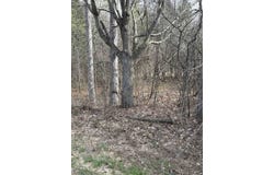 492 Nation Road, Norfolk, NY 13676