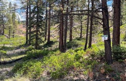 Elk Ridge Estates lot: # 5 Phase 6, Alton, UT 84710