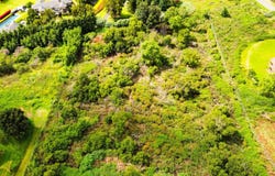 Malanani Dr, Kula, HI 96790