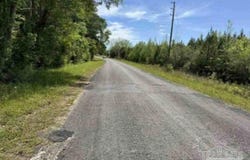 Horace Odom Rd, Millry, AL 36558
