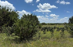 Private Road 1743B, Clifton, TX 76634