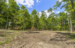 00 VALENCOURT ROAD, COPEMISH, MI 49625