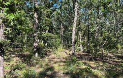 21200 NEAL DR, Lebanon, MO 65536