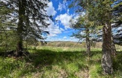 Hatch Rd, Russell, NY 13652