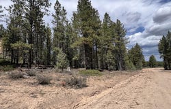 Elk Ridge Estates lot: # 8 Phase 6, Alton, UT 84710