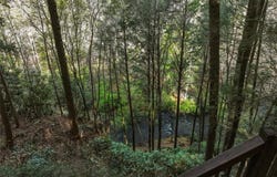58 River Road, Ellijay, GA 30522