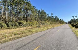 Dog River Road, Theodore, AL 36582