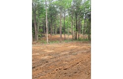 County Road 66, Eldridge, AL 35554