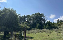 Dryfork Road, Dryfork, WV 26263