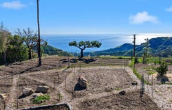 23424 W Moon Shadows Dr, Malibu, CA 90265