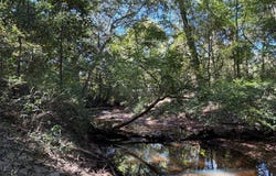 22500 Highway 31, Evergreen, AL 36401