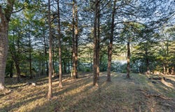 29209 Station Lane, Eagle Rock, MO 65641