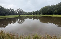 Meredith Road, Collinsville, MS 39325