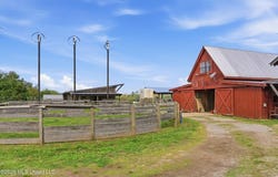 131 Laws Hill, HOLLY SPRINGS, MS 38635