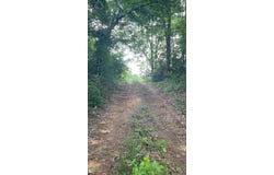 2824 FM 705, Bronson, TX 75929
