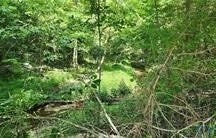 1380 Jasmine Road, Goochland, VA 23063