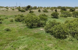 11 Mystic Mountain Drive, Gustine, TX 76455