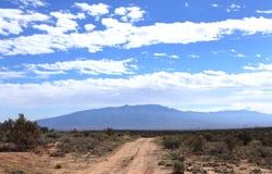 1405 Bernice Road NE, Rio Rancho, NM 87144