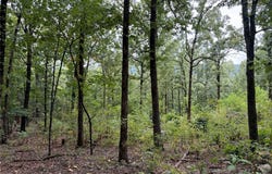 Tract 6 NC 6832, Jasper, AR 72641