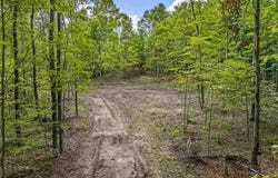 00 VALENCOURT ROAD, CLEON TWP, MI 49625