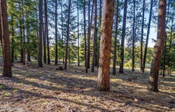 10 N 1337, Greer, AZ 85927
