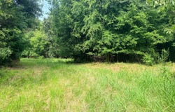 Old Cherokee Trail, Saluda, SC 29138