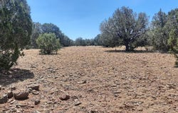 Martinez, Williams, AZ 86046