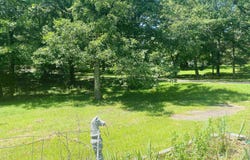114 Walker Drive, Cove, AR 71937
